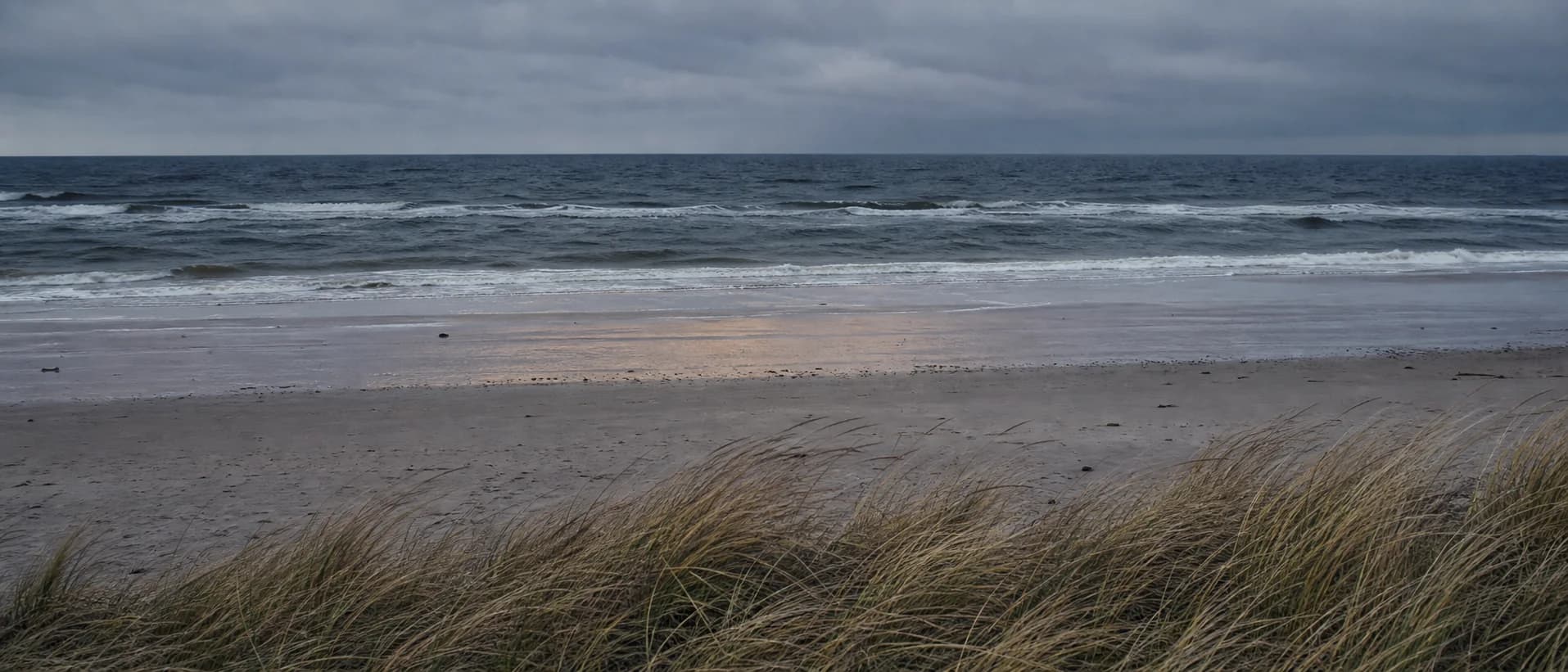 A quiet horizon with muted blue water, wet sand and pale grasses